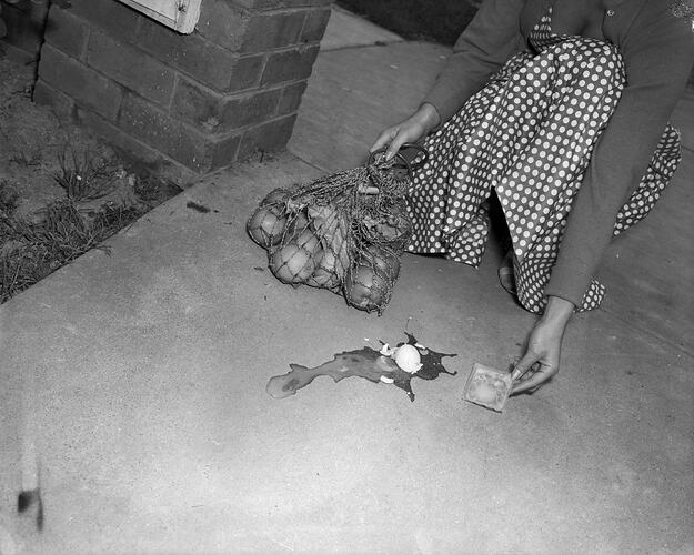 Woman with Broken and Packaged Eggs, Melbourne, Victoria, 1956