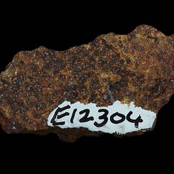 Wiluna Meteorite. [E 12304]