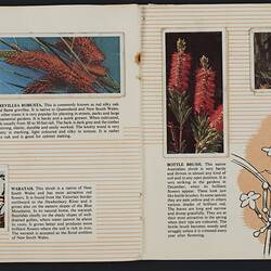 Card album, open, printed text and colourful flora pictures.