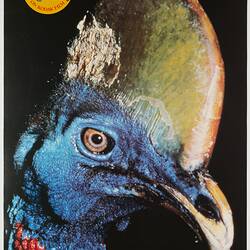 Poster - Kodak Australasia Pty Ltd, Cassowary, 'Capture Your Friends on Kodak Film', 1982-1990