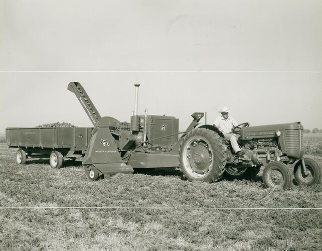 Man driving a tractor pulling a hay pelleting machine, dumping the pellets into a farm trailer.