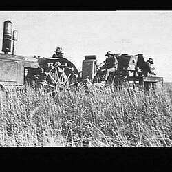 Photograph - H.V. McKay Massey Harris, Sunlight Header Harvester Drawn by a Ronaldson Tippett Tractor, Orange, New South Wales, Jan 1933
