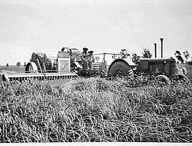 NO. 2 P.T.O. HEADER AND MODEL 25 (GREEN), WEST WYALONG: DEC 1939