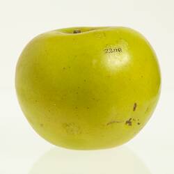 Wax model of an apple with stem, painted yellow.