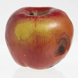 Wax apple model painted red and yellow with heavily pitted area on side in brown and black.
