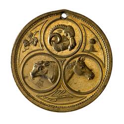 Medal - Pastoral and Agricultural Association,pre 1900 AD