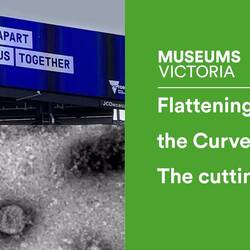 Museum Lecture: Flattening the Curve: The cutting edge