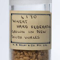 Wheat sample in cylindrical glass jar. Detail of white paper label on front.