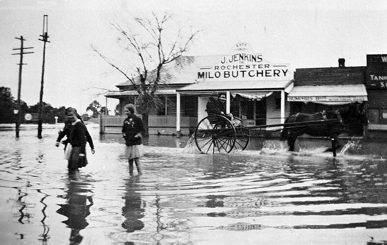 The Milo Butchery and other shops in flood at Rochester, 1931.