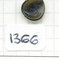 HR Uhlherr Tektite Collection Number: 1366-1