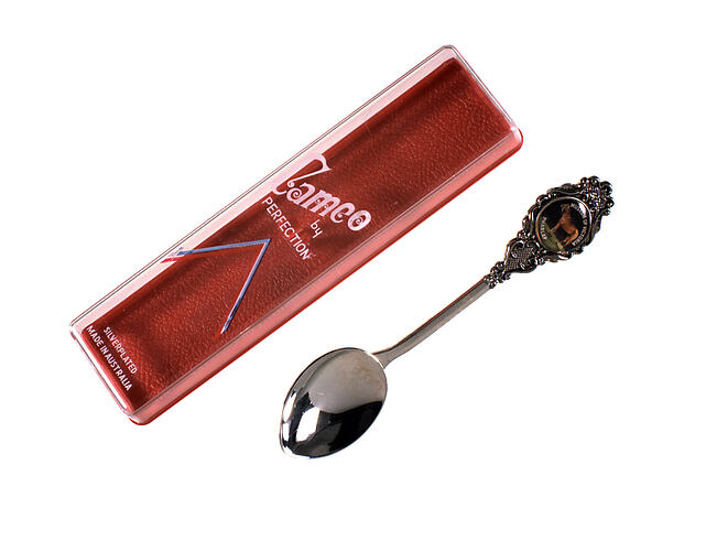 Silver souvenir spoon with plastic case.