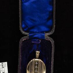Gold oval locket with vertical row of diamonds framed by varied ornate vertical lines. Loop at top. In blue box.