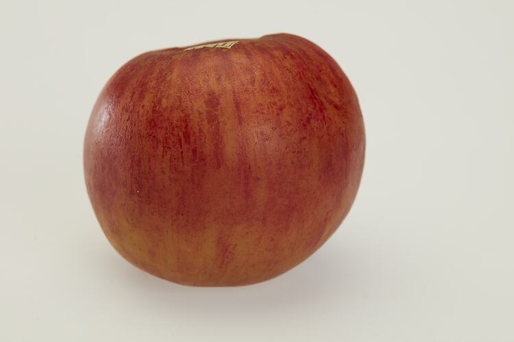 Wax model of red apple.