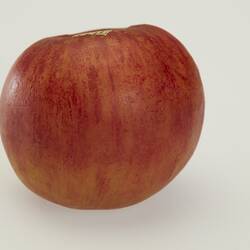 Wax model of red apple.