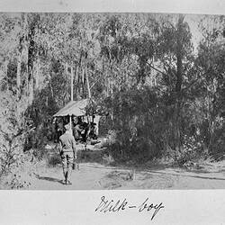 Photograph - 'Milk Boy', by A.J. Campbell, Lower Ferntree Gully, Victoria, 1905