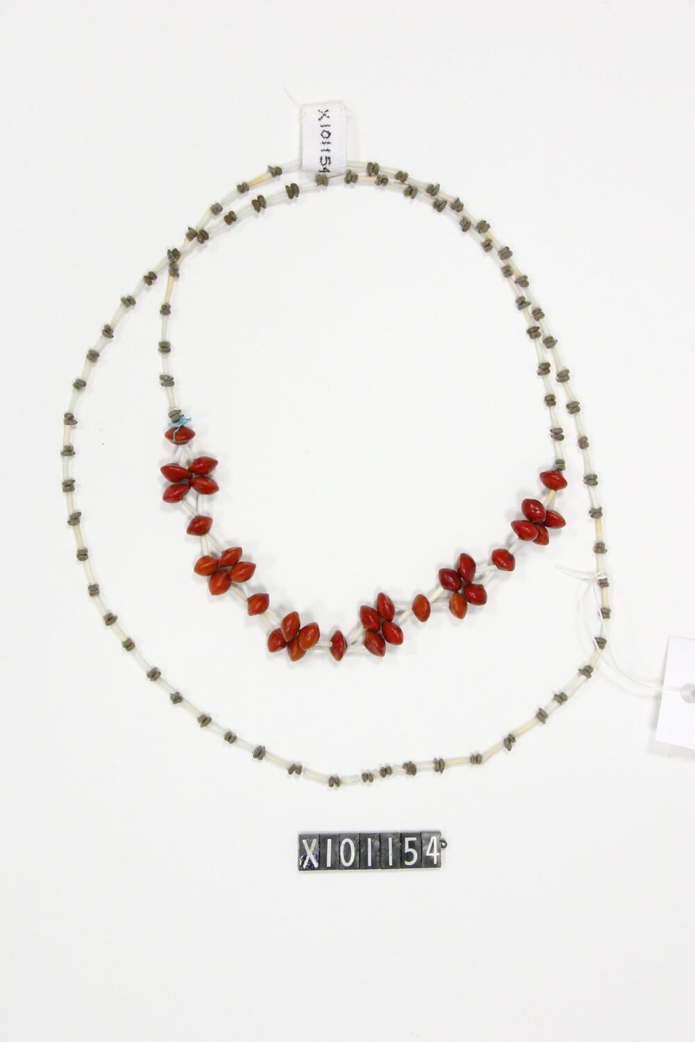 Ornament, neck. Burarra. Maningrida, Central Arnhem Land, Northern