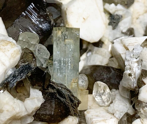 Pale blue, slender crystal sitting centrally in granite rock, surounded by other white and black crystals.
