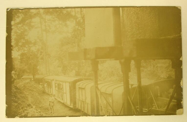 Railway carriages in forest setting.