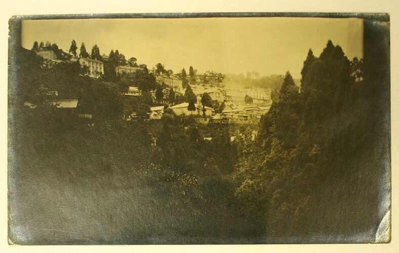 Darjeeling landscape with trees and buildings built into a hill.