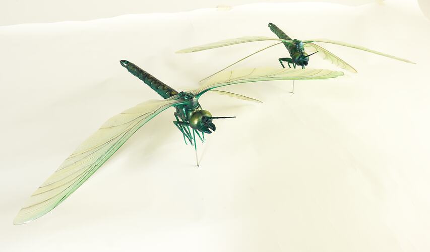 Two models of extinct insects.