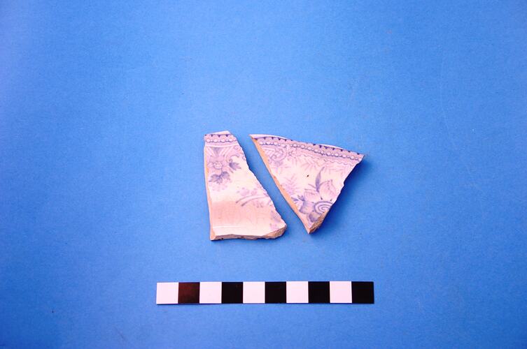 A fragment of broken plate.