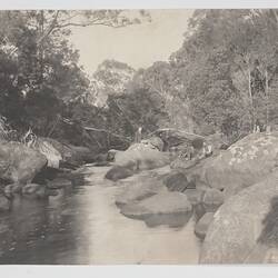 Photograph - 'The Crossing, Pat's River, Flinders Island', 1893