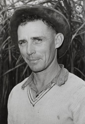 Photograph - Massey Ferguson, Leo, Cane Farmer, Queensland, 1960s