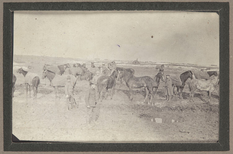 Group of servicemen and horses.