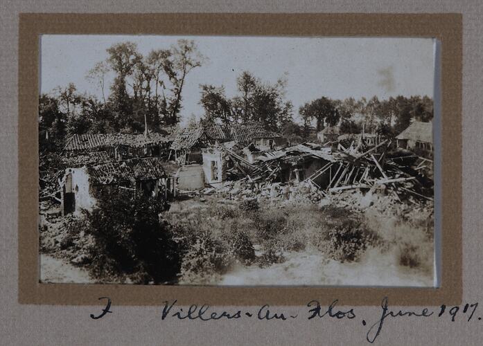 Damaged houses surrounded by trees and bushland.
