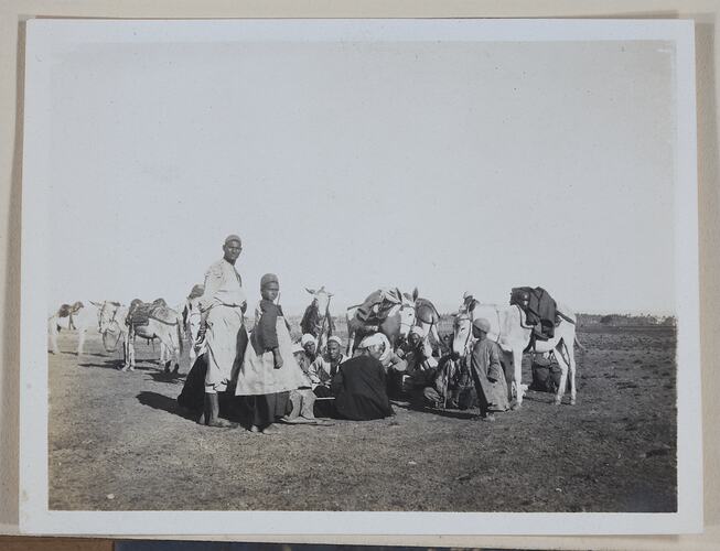 Native Group With Donkeys, Egypt, Captain Edward Albert McKenna, World War I, 1914-1915