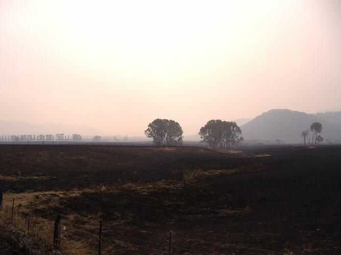 Black Saturday Bushfires, smoky scene at Rosewhite Farm, Victoria