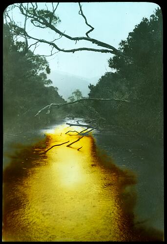 Lantern Slide - Sealers Creek, Wilsons Promontory, Victoria, May 1937. [BA 1900]