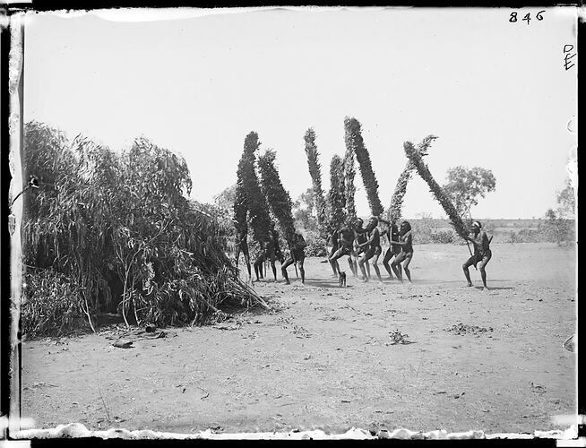 Warumungu ceremony, Tennant Creek, Central Australia, 1901