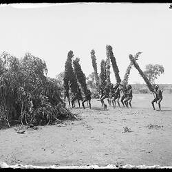 Glass plate. Warumungu. Tennant Creek, Central Australia, Northern Territory, Australia. /07/1901 - /09/1901