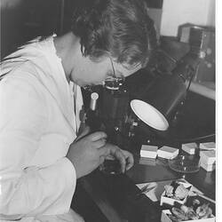 Photograph - Hope Macpherson working in Museum looking at slide through microscope (damaged)