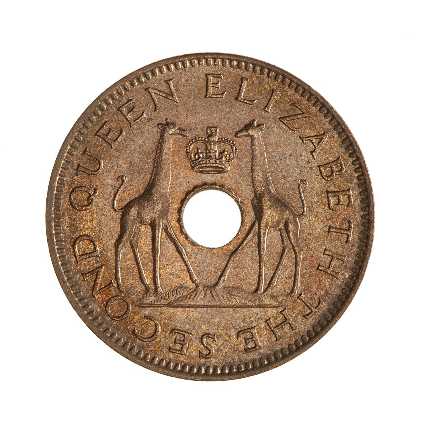 Coin Penny Rhodesia Nyasaland Zimbabwe