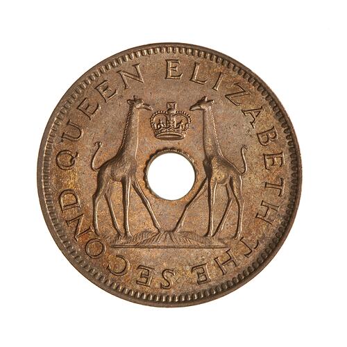 Coin - 1/2 Penny, Rhodesia & Nyasaland (Zimbabwe), 1958