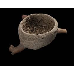 Smooth-walled, bowl-shaped nest on y-shaped branch against black background.