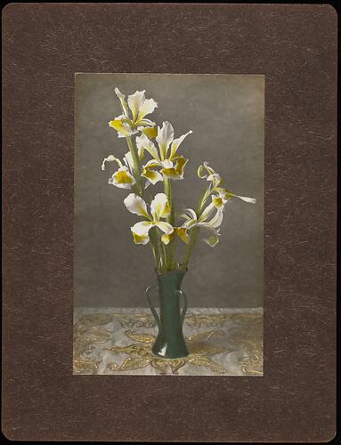 Still life of yellow and white iris flowers in a green vase.