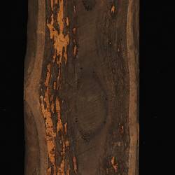 Timber Sample - White Salle, Eucalyptus pauciflora, Victoria, 1885 (Reverse)