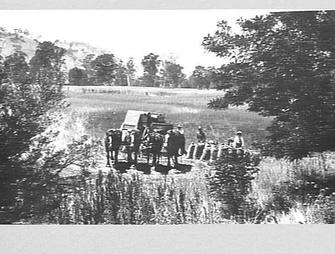 POSTCARD CORRESPONDENCE ADDRESS  177 EXACT SIZE REQUIRED  S S  5 1/8 X 3 1/8  XX AT W MCDONALDS FARM RIVERSDALE ALEXANDRINA XX  8 FT HARVESTER ENGINE FUNCTIONED ON MR GATENBY'S FARM, CRESSY, TAS.  DO NOT HOLD NEG