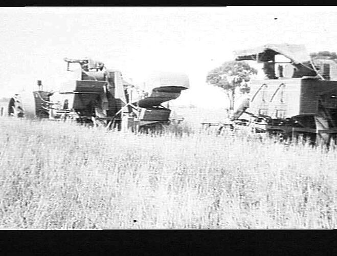 20/35 ALLIS-CHALMERS TRACTOR PULLING 2 8FT SUNSHINE HEADERS ON THE ESTATE OF MR JOHN ALLAN, NUMURKAH. (9 BAG CROP) JAN 1925