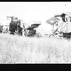 Photograph - H.V. McKay Pty Ltd, Farm Equipment Manufacture & Field Trials, Numurkah, Victoria, Jan 1925