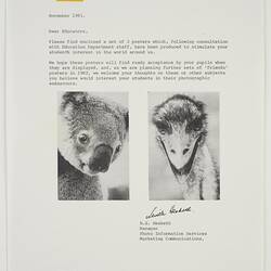 Letter - Kodak Australasia Pty Ltd, 'Capture Your Friends on Kodak Film', Nov 1981
