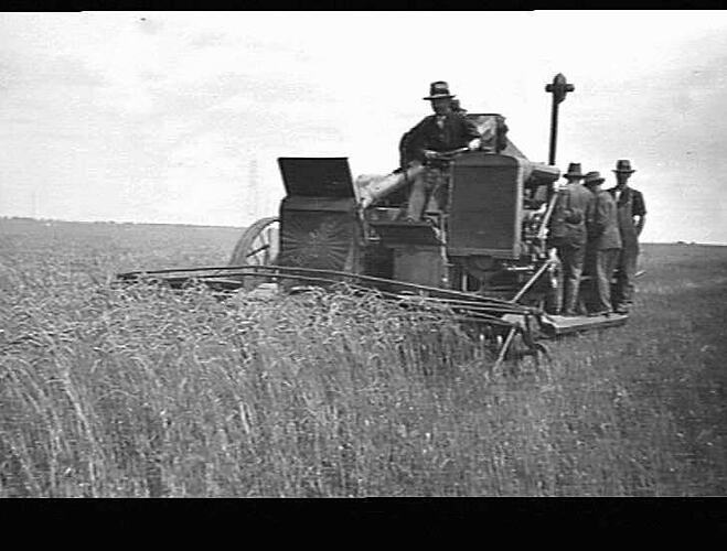 EXPERIMENTAL AUTO HEADER WORKING AT BROADMEADOWS