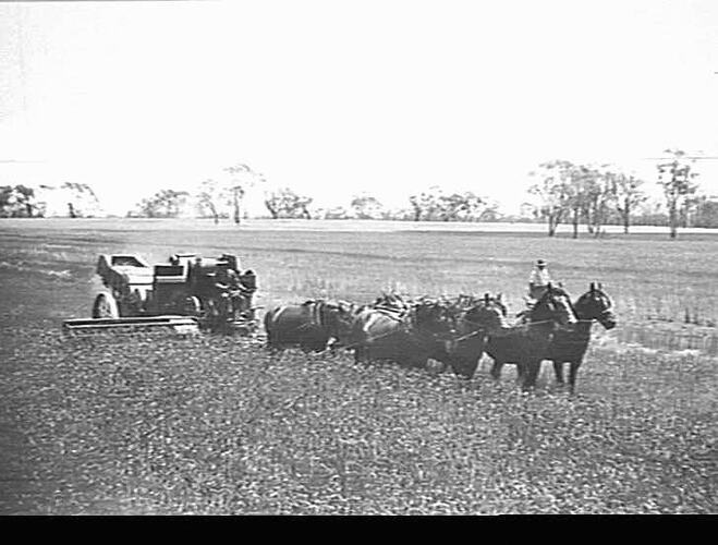 Photograph - H. V. McKay factory and/or equipment