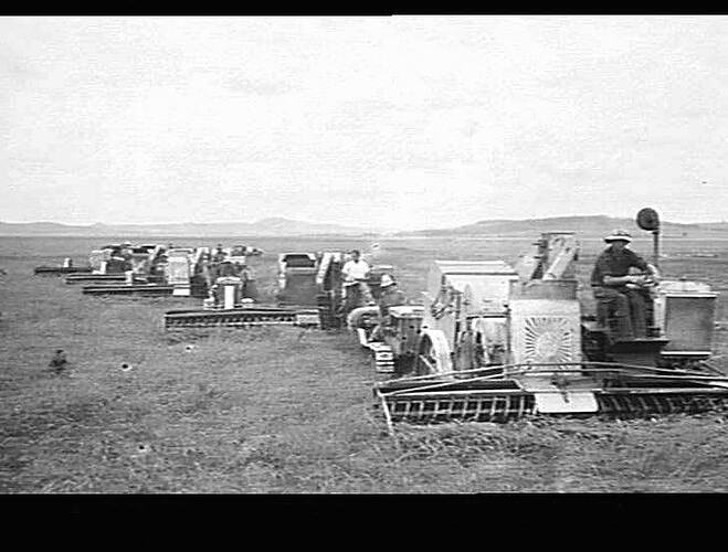 AUTO AND HEADERS AT WORK ON MR. FLEGLER'S FARM ,EVANSLEA, QUEENSLAND.