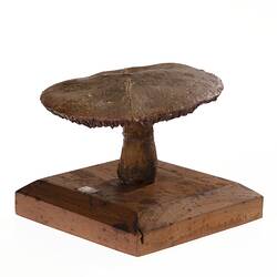 Model of a brown mushroom on a wooden base.