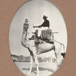 Photograph - Man Riding Camel, Egypt, World War I, 1915-1917