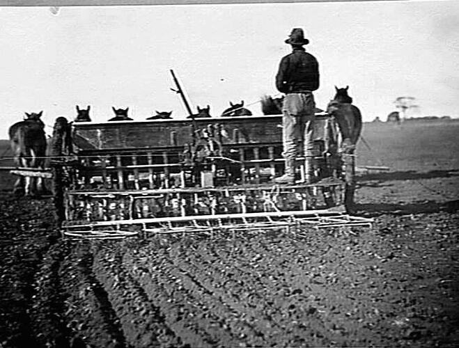 MESSRS. DIPROSE BROS. FARM, LORQUON (?), VIC: JUNE 1921